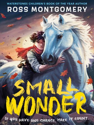 cover image of Small Wonder--The hotly anticipated new novel from award-winning Ross Montgomery, winner of Waterstones Children's Book of the Year 2024 – fantasy adventure perfect for ages 9, 10, 11, 12